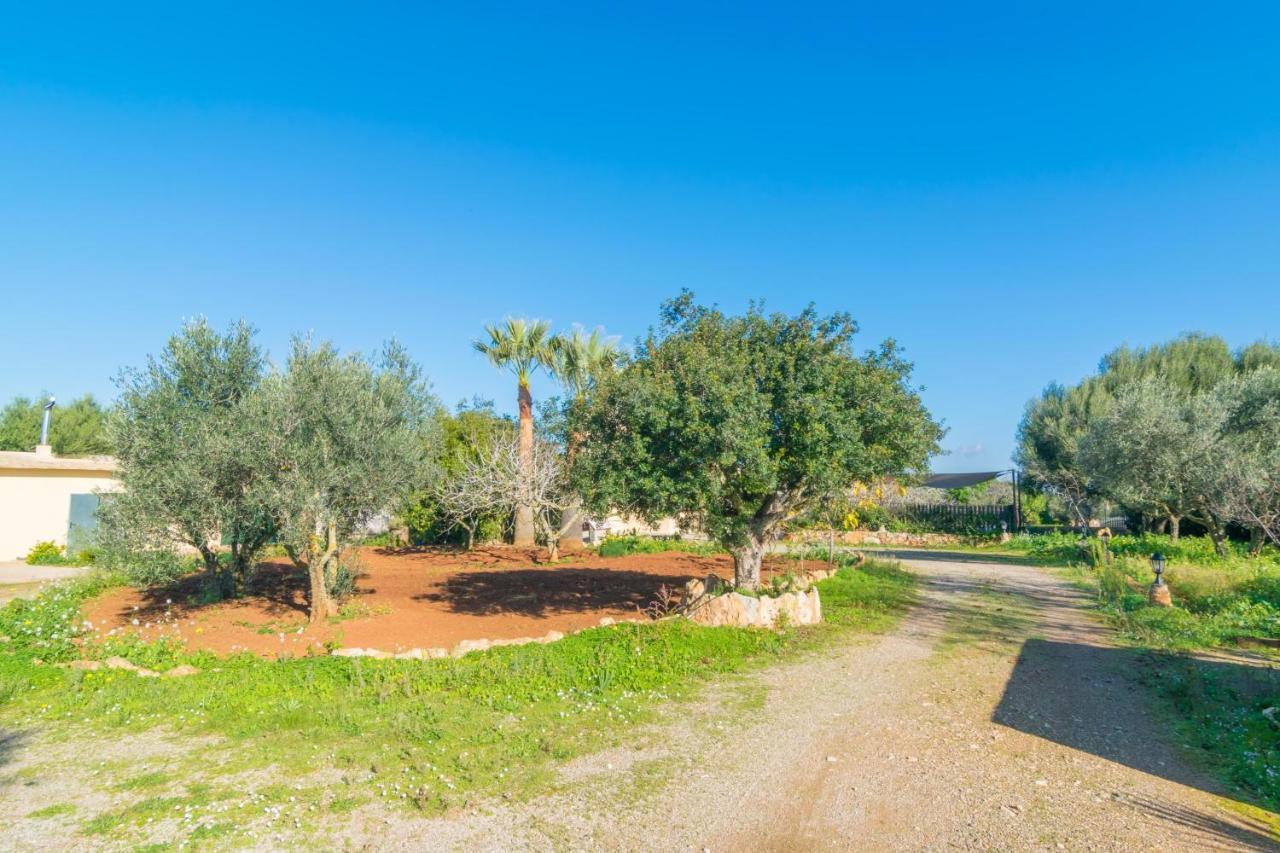 Sa Tanqueta De Ses Roques Villa Santanyi Ngoại thất bức ảnh